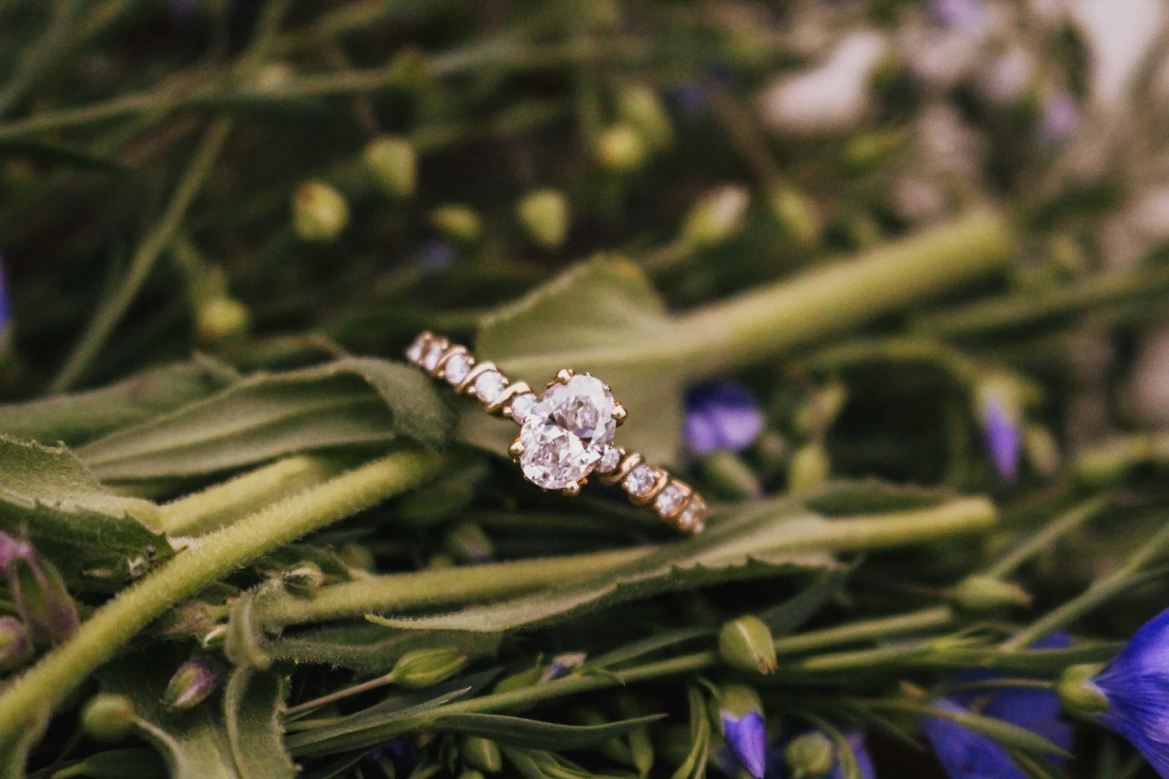 Ring detail in greenery
